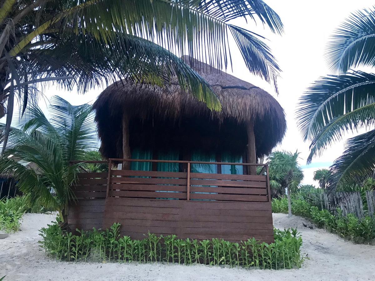Agua Eco Design Hotel 툴룸 외부 사진